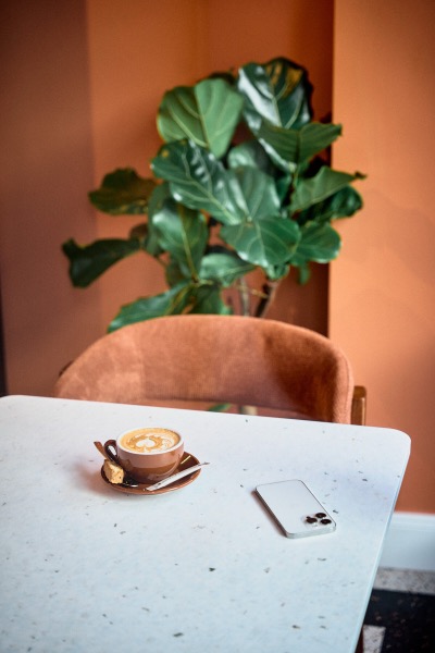 Ein Cappuccino auf einem Marmortisch vor der terrakottafarbenen Wand, dahinter eine Pflanze.